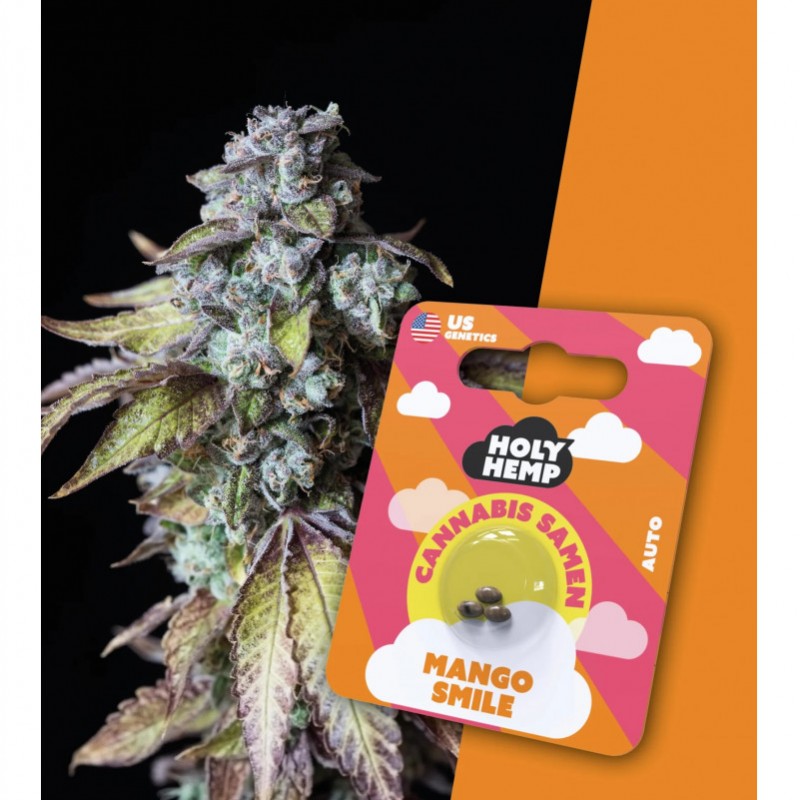 Holy Hemp Cannabissamen Mango Smile