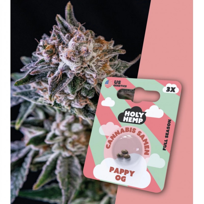 Holy Hemp Cannabissamen Pappy OG