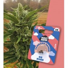 Holy Hemp Cannabissamen OG Kush