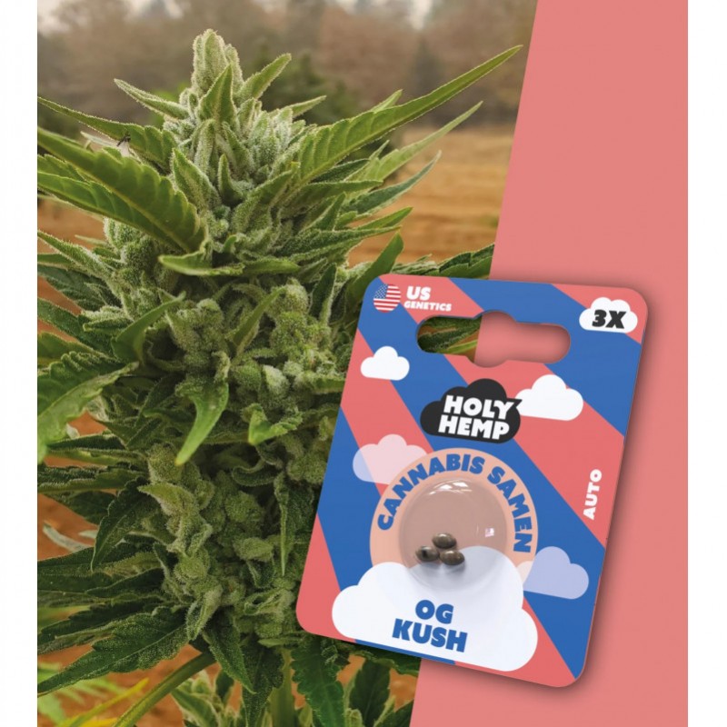 Holy Hemp Cannabissamen OG Kush
