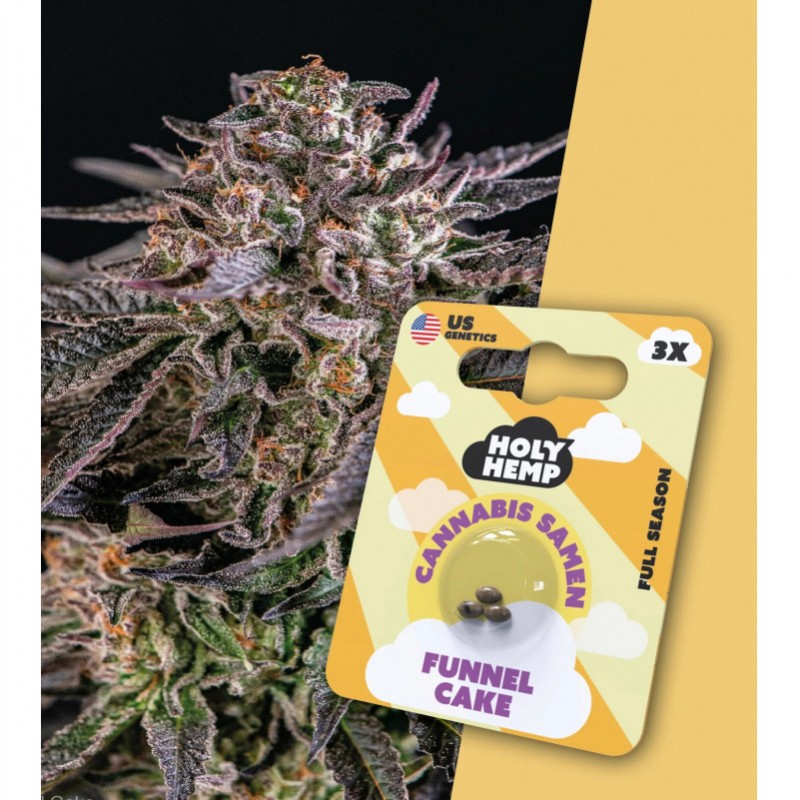 Holy Hemp Cannabissamen Funnel Cake